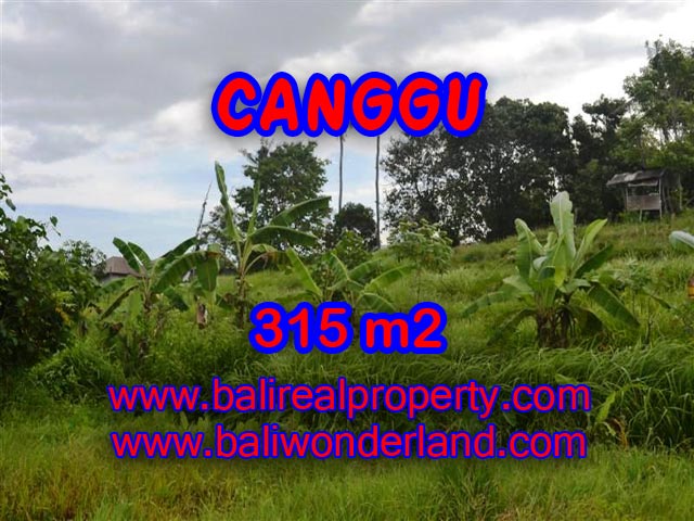 Tanah di Canggu dijual 3.15 Are di canggu brawa Bali