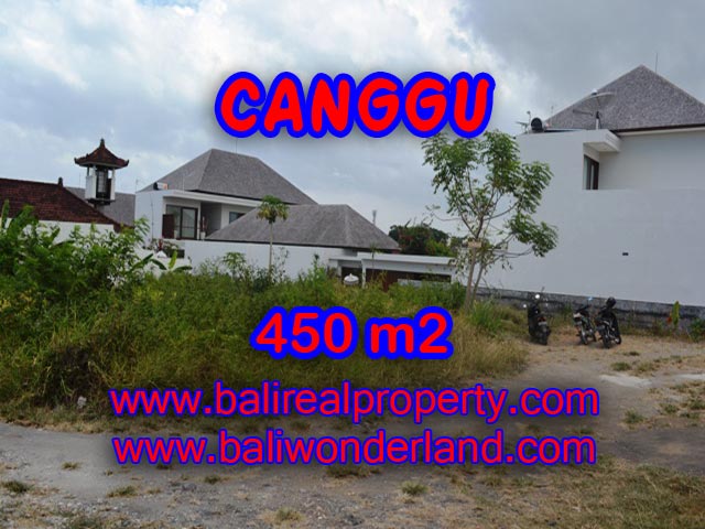 Tanah di Canggu dijual 4,5 are View sawah di Batu Bolong
