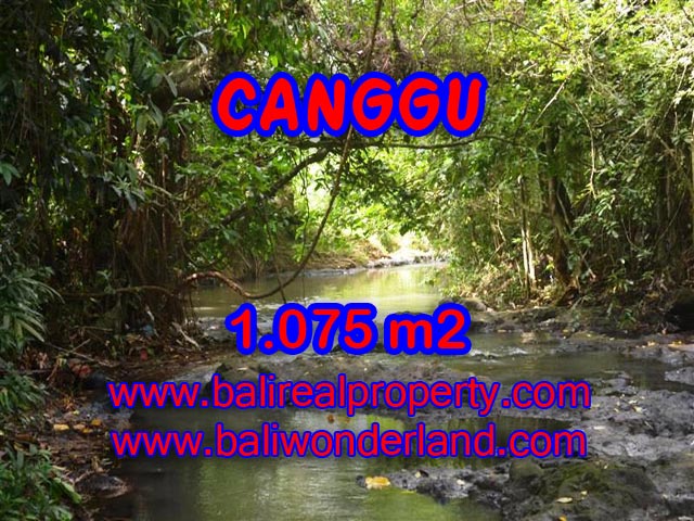 Jual tanah di Canggu Bali 10.75 Are di Canggu Pererenan