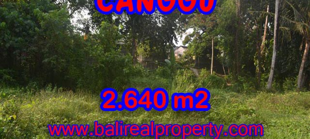 Tanah di Canggu dijual 2,640 m2 di Brawa