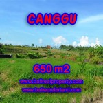 Tanah di Canggu Bali dijual 650 m2 View sawah di Canggu Batu Bolong