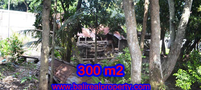 Jual tanah di Bali 300 m2 view sawah di Kerobokan