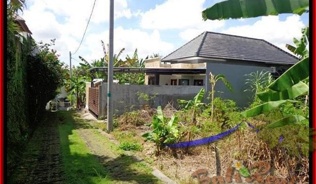 JUAL MURAH TANAH di CANGGU BALI 3,12 Are View kebun di lingkungan villa