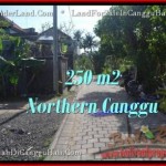 TANAH MURAH di CANGGU JUAL 2.5 Are View link villa