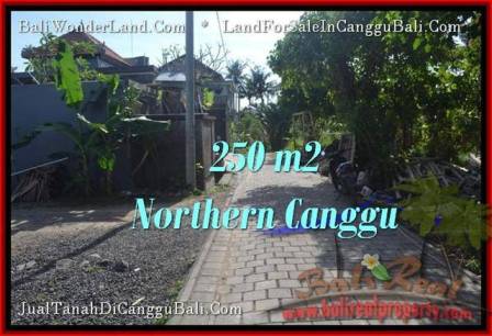 TANAH MURAH di CANGGU JUAL 2.5 Are View link villa