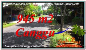 TANAH MURAH di CANGGU BALI DIJUAL 945 m2 di Canggu Pererenan