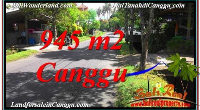 DIJUAL TANAH MURAH di CANGGU BALI Untuk INVESTASI TJCG210